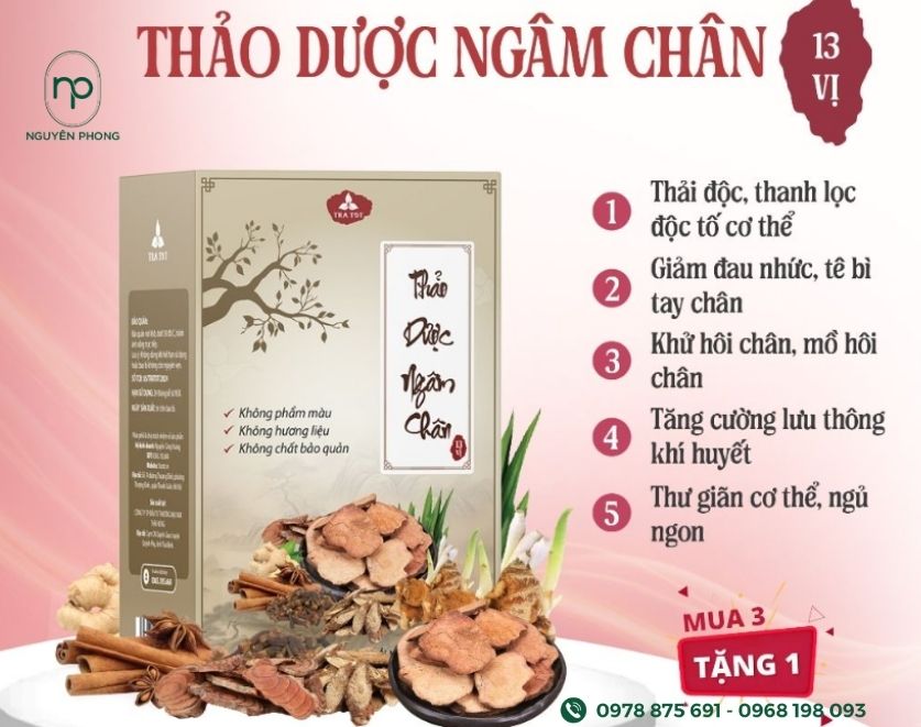Mẫu hộp đựng thảo dược ngâm chân